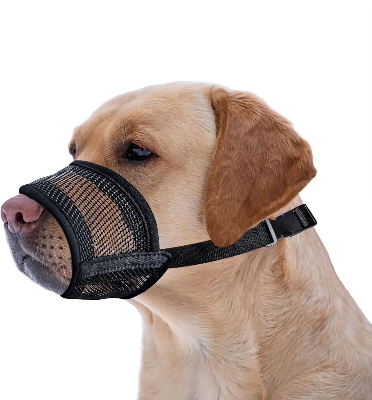 Bozal Profesional para Perros – Seguridad y Comodidad Garantizada