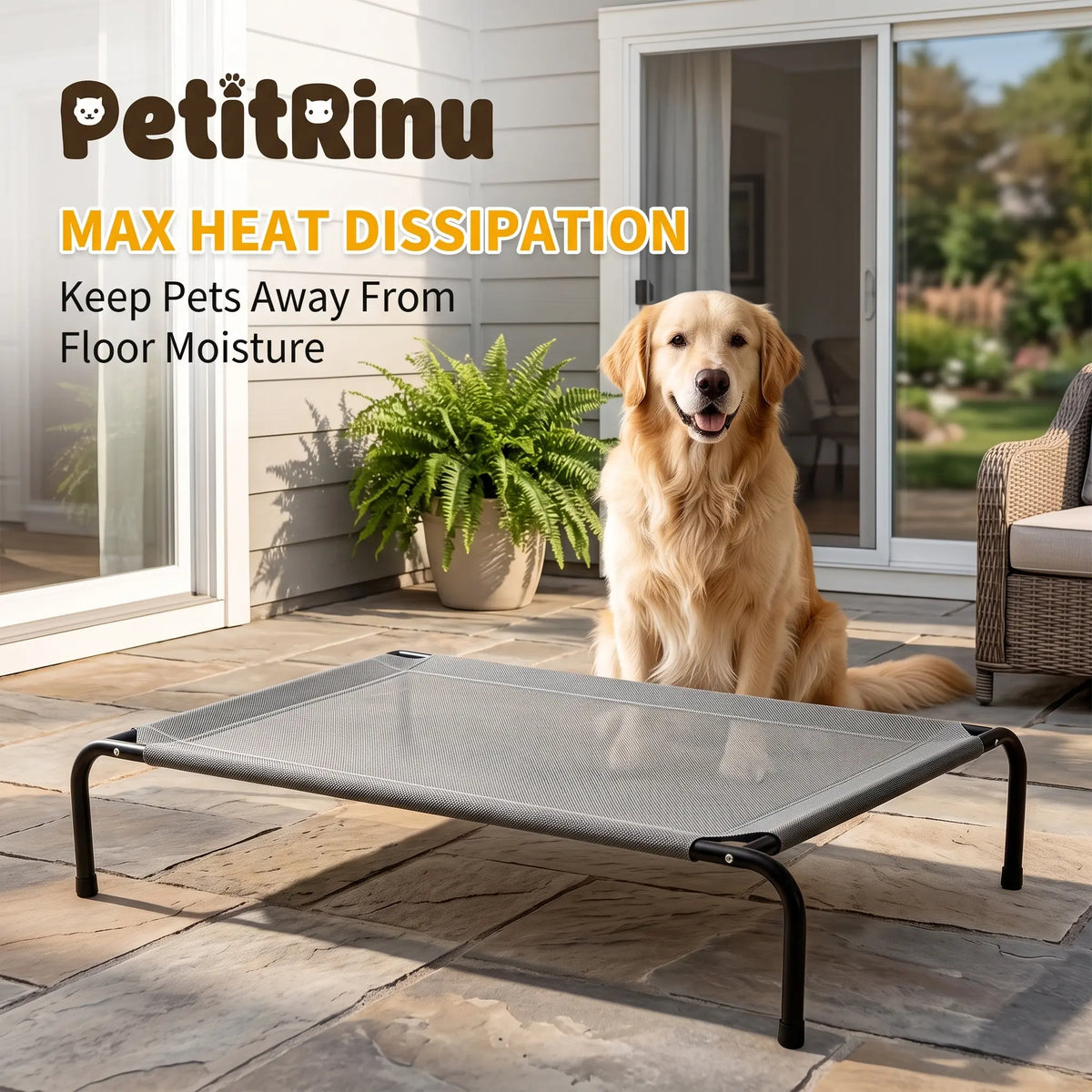 Petitrinu Classic Elevated Dog Bed - Durable Metal Frame, Cooling Textilene Mesh, Perfect Joint Relief for Medium/Large Dogs, Available in 2 Sizes