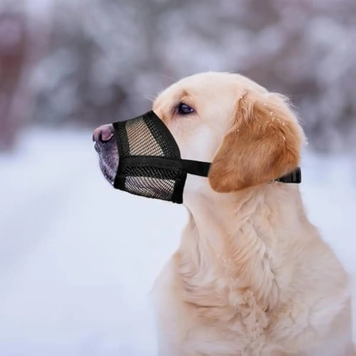 Bozal Profesional para Perros – Seguridad y Comodidad Garantizada