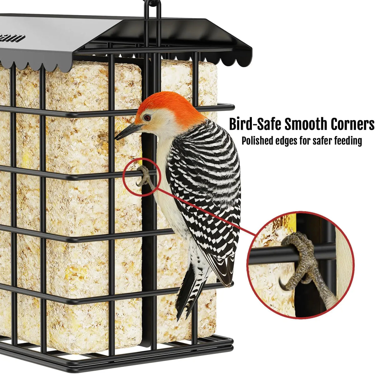 Birdream Double Suet Bird Feeder for Outdoors, All-Metal, Holds 2 Standard Suet Cakes, Easy to Refill, for Woodpeckers, Chickadees and Nuthatches