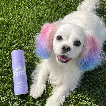 Crane Lunexis Pet Hair Color Spray Can - Dog & Cat Grooming Coating Agent, Safe, Non-Toxic, Easy Application, Easily Removed via Shampoo Wash-Off, Ideal for Festivals, Halloween