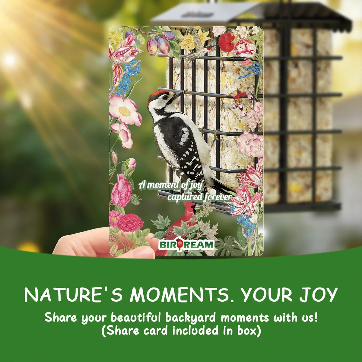 Birdream Double Suet Bird Feeder for Outdoors, All-Metal, Holds 2 Standard Suet Cakes, Easy to Refill, for Woodpeckers, Chickadees and Nuthatches