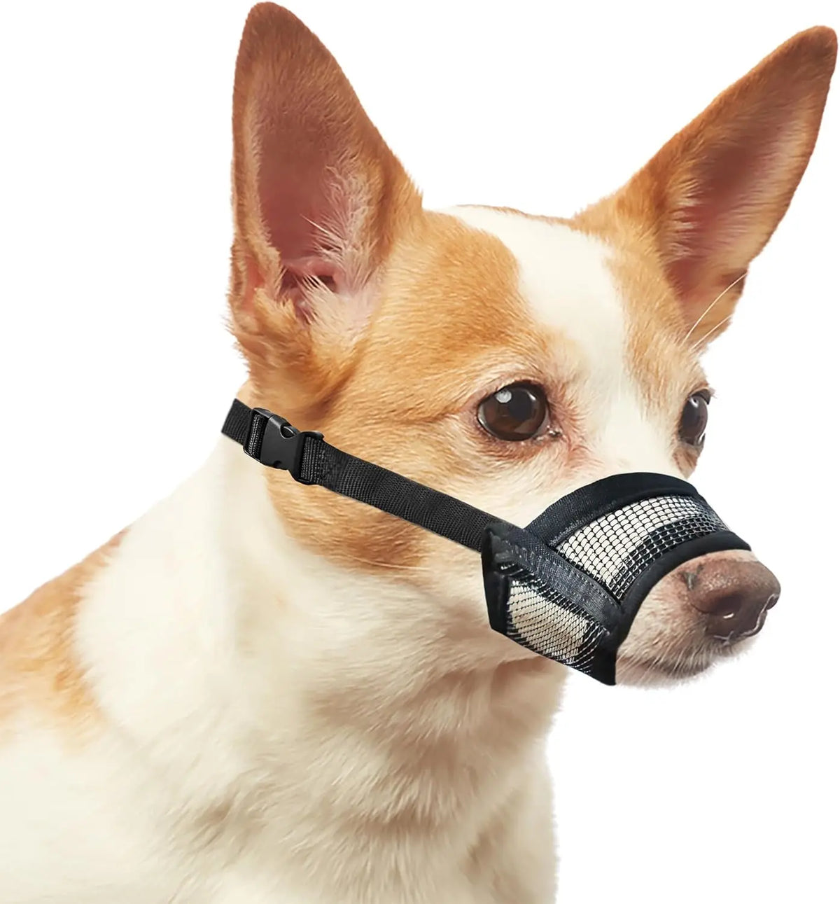 Bozal Profesional para Perros – Seguridad y Comodidad Garantizada