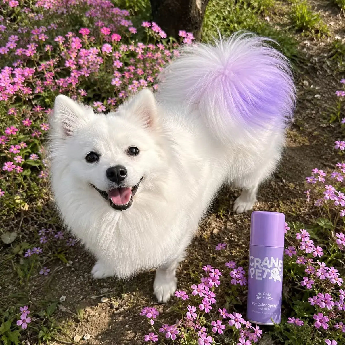 Crane Lunexis Pet Hair Color Spray Can - Dog & Cat Grooming Coating Agent, Safe, Non-Toxic, Easy Application, Easily Removed via Shampoo Wash-Off, Ideal for Festivals, Halloween