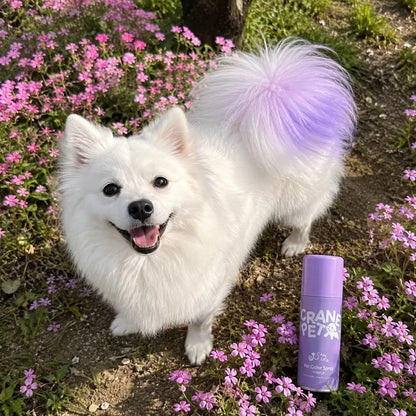 Crane Lunexis Pet Hair Color Spray Can - Dog & Cat Grooming Coating Agent, Safe, Non-Toxic, Easy Application, Easily Removed via Shampoo Wash-Off, Ideal for Festivals, Halloween