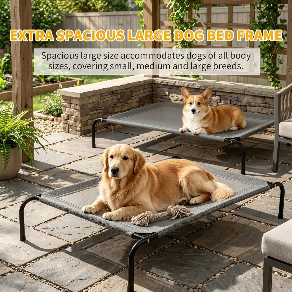 Petitrinu Classic Elevated Dog Bed - Durable Metal Frame, Cooling Textilene Mesh, Perfect Joint Relief for Medium/Large Dogs, Available in 2 Sizes