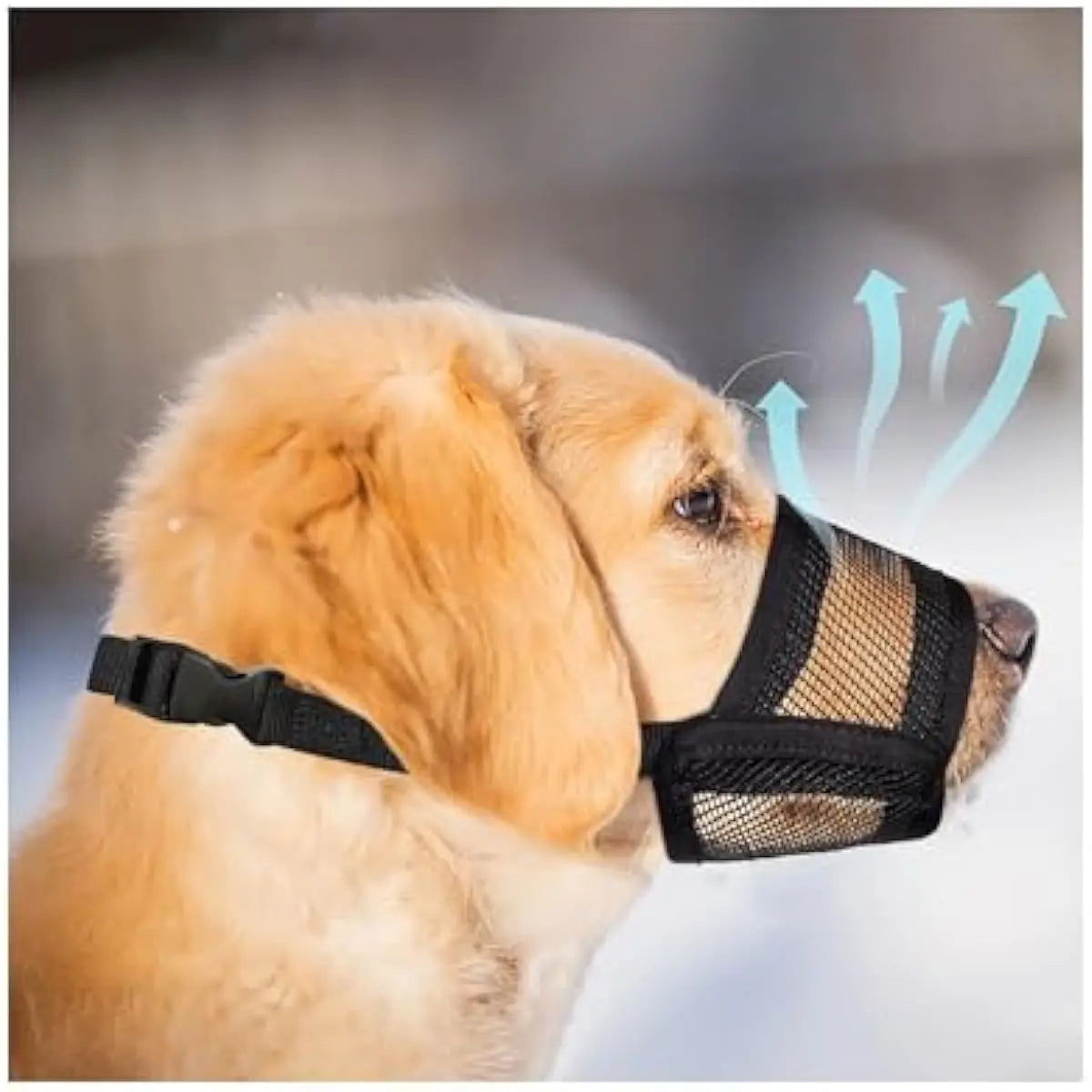 Bozal Profesional para Perros – Seguridad y Comodidad Garantizada